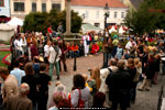 Mittelalterfest Heidenreichstein 2007 - www.mittelalterfeste.com - c Johannes