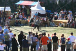 Historisches Burgtreiben Rosenburg 2007