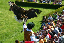 Mittelalterfest Rosenburg 2008 - www.Mittelalterfeste.com - c Johannes