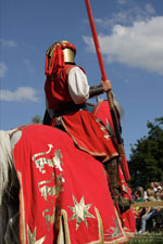 Ritterspektakel Stubenberg 2008 - c slavik.com