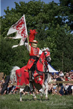 Ritterspektakel Stubenberg 2008 - c slavik.com