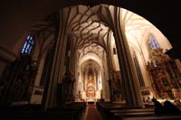 IMG_8261